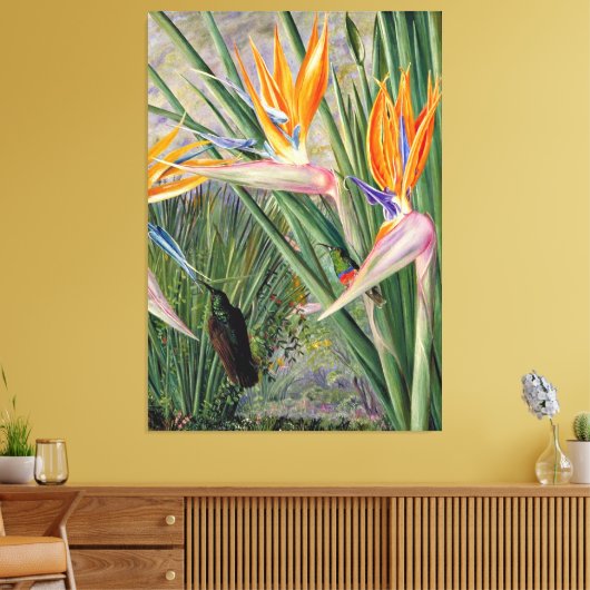 Noord - Strelitzia en Suikervogels, Zuid-Afrika, Canvas Afdruk (Insitu (Woonkamer))