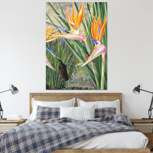 Noord - Strelitzia en Suikervogels, Zuid-Afrika, Canvas Afdruk (Insitu (Slaapkamer))