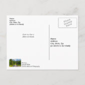 Noord-vork Shoshone River Thinking You Briefkaart (Achterkant)