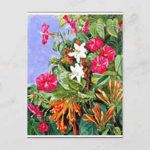 Noord - Wildbloemen in Morro Velho, Brazilië Briefkaart