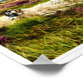 NOORD-YORK MOORS NATIONALE PARK - NOORD-YORKSHIRE POSTER (Hoek)