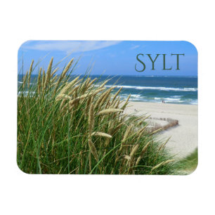 Noord-Zee, Beach, Dune Grass, Sylt, Nordfriesland Magneet