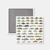 Noordamerikaanse zoetwatervisgroep magneet (Voorkant / Achterkant)