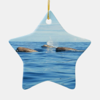 Noordatlantische flessenwalvissen keramisch ornament