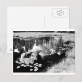 Noordbosmeer met een mooi landschap briefkaart (Voorkant / Achterkant)