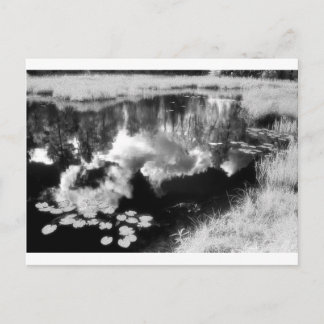 Noordbosmeer met een mooi landschap briefkaart