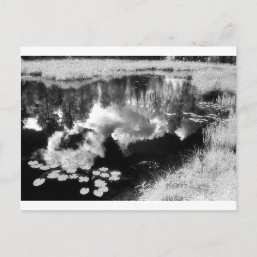 Noordbosmeer met een mooi landschap briefkaart (Voorkant)