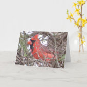 Noordelijk HoofdWenskaart Kaart (Gele Bloem)