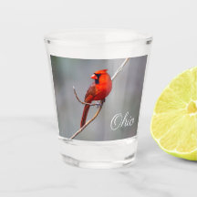 noordelijk kardinaal Ohioi Shot Glass