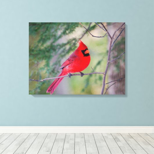 noordelijk kardinaal portret canvas afdruk (Insitu (Houten vloer))