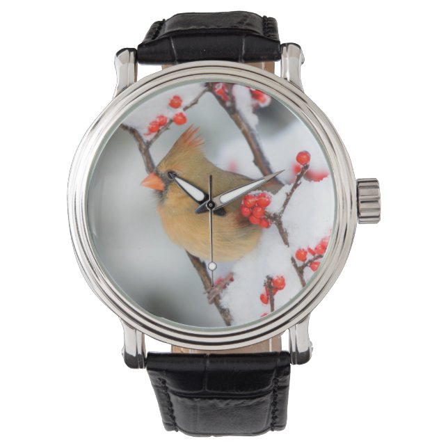 Noordelijk Kardinaal vrouw op Common Winterberry Horloge (Voorkant)