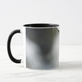 Noordelijk Kardinaal vrouw op Common Winterberry Mok (Links)