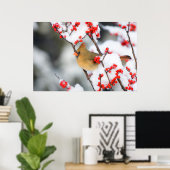 Noordelijk Kardinaal vrouw op Common Winterberry Poster (Thuiskantoor)