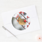 Noordelijk Kardinaal vrouw op Common Winterberry Ronde Sticker (Envelop)