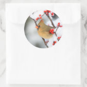 Noordelijk Kardinaal vrouw op Common Winterberry Ronde Sticker (Tas)