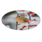 Noordelijk Kardinaal vrouw op Common Winterberry Snijplank (Hoek)