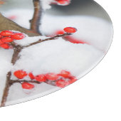 Noordelijk Kardinaal vrouw op Common Winterberry Snijplank (Hoek)