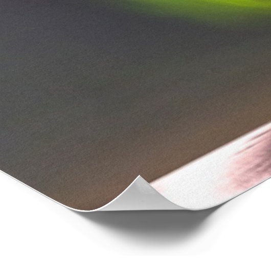 noordelijk lichtS | Haukland Beach Island Poster (Hoek)