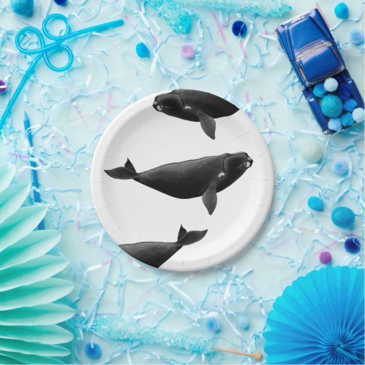 Noordelijke Atlantische Oceaan: walvis Eubalaena g Papieren Bordje (Feest)