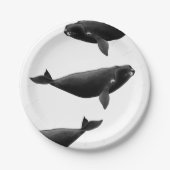 Noordelijke Atlantische Oceaan: walvis Eubalaena g Papieren Bordje (Voorkant)