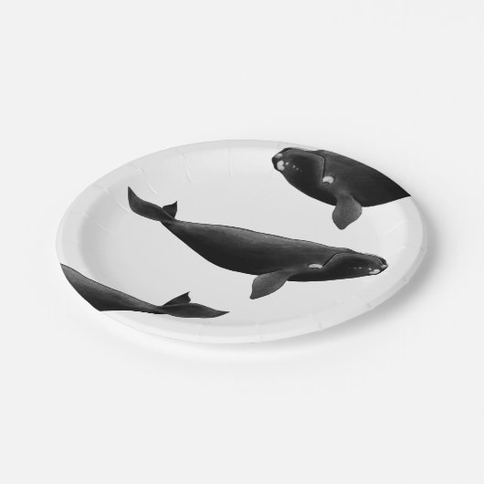 Noordelijke Atlantische Oceaan: walvis Eubalaena g Papieren Bordje (Gekanteld)