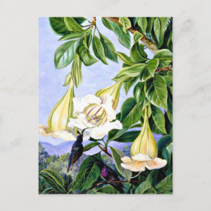 Noordelijke - Bloemen en bloemen van een tropisch Briefkaart