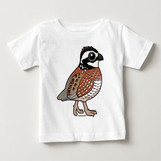 Noordelijke Bobwhite (Voorkant)