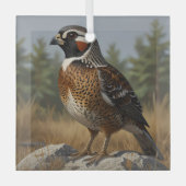 Noordelijke Bobwhite Glas Ornament (Voorkant)