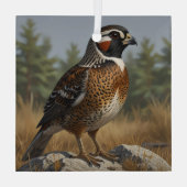 Noordelijke Bobwhite Glas Ornament (Achterkant)