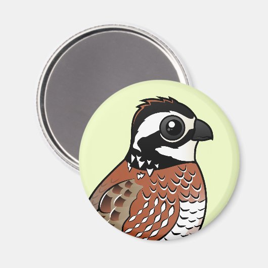 Noordelijke Bobwhite Magneet (Voorkant / Achterkant)