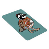 Noordelijke Bobwhite Magneet (Rechterzijde)