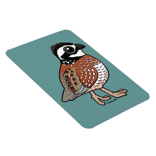 Noordelijke Bobwhite Magneet (Rechterzijde)