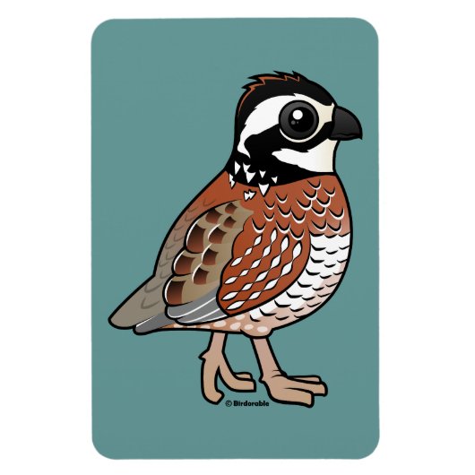 Noordelijke Bobwhite Magneet (Verticaal)