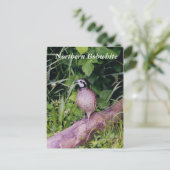 Noordelijke Bobwhite Quail Briefkaart (Staand voorkant)