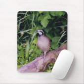 Noordelijke Bobwhite Quail Muismat (Met muis)