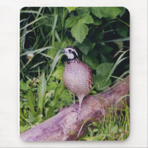Noordelijke Bobwhite Quail Muismat