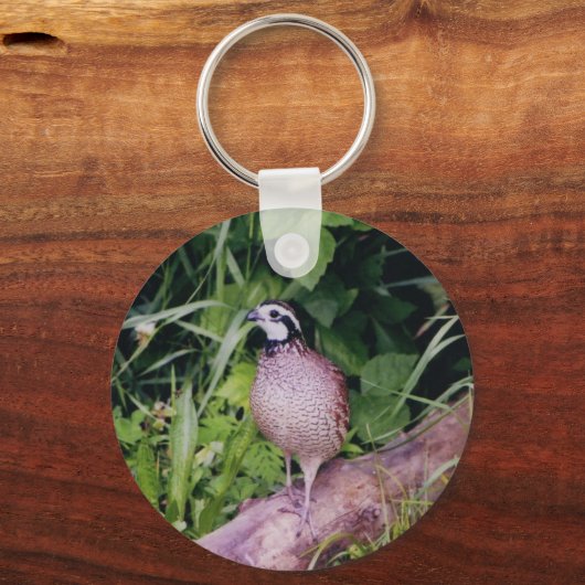 Noordelijke Bobwhite Quail Sleutelhanger (Voorkant)