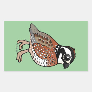 Noordelijke Bobwhite Rechthoekige Sticker