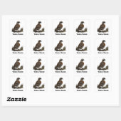 Noordelijke Bobwhite Vierkante Sticker (Vel)