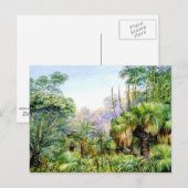 Noordelijke - Bosbouwschaal in West-Australië Briefkaart (Voorkant / Achterkant)