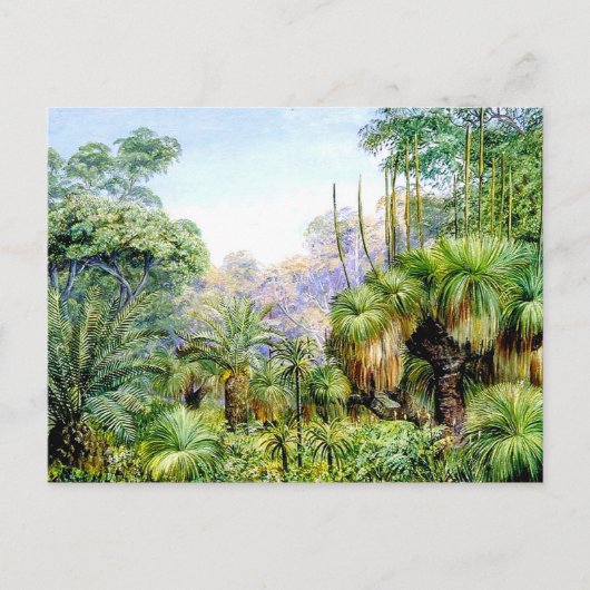 Noordelijke - Bosbouwschaal in West-Australië Briefkaart (Voorkant)