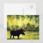 Noordelijke Briefkaart (Voorkant / Achterkant)