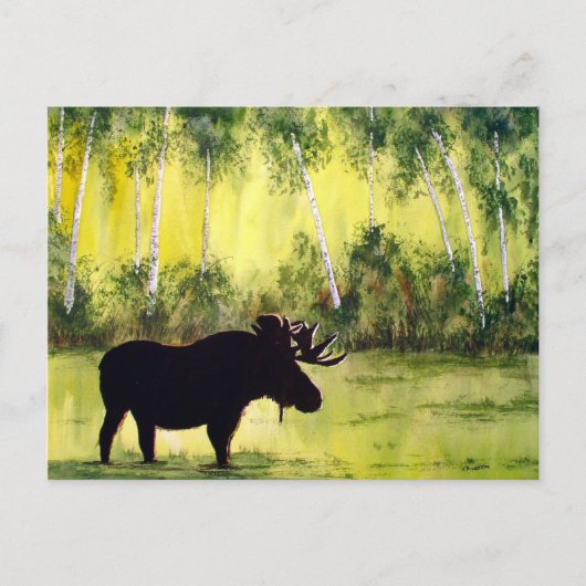 Noordelijke Briefkaart (Voorkant)