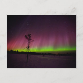 Noordelijke briefkaart