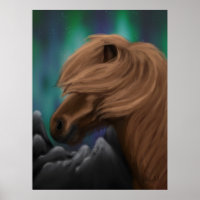 Noordelijke bries: IJslands paard in middernacht