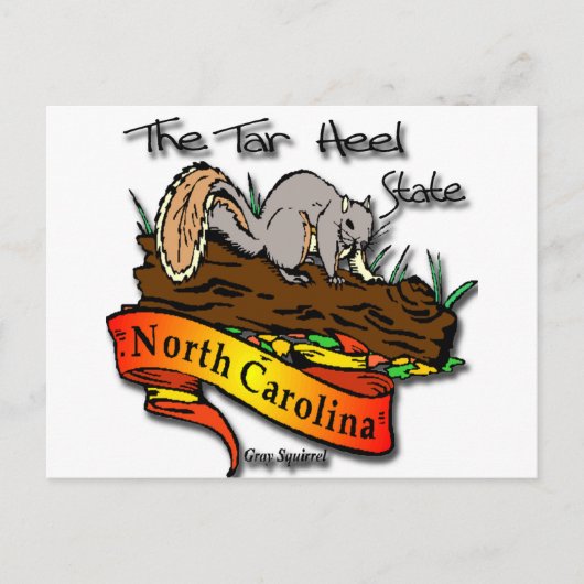 Noordelijke Carolina Tar Heel Gray Squirrel Briefkaart (Voorkant)