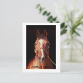 Noordelijke danser...De grootste steen ter wereld Briefkaart (Staand voorkant)