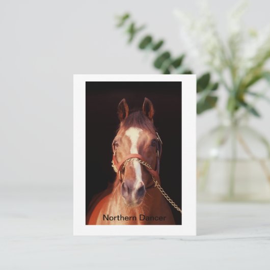 Noordelijke danser...De grootste steen ter wereld Briefkaart (Staand voorkant)