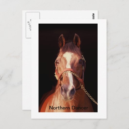 Noordelijke danser...De grootste steen ter wereld Briefkaart (Voorkant / Achterkant)