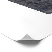 noordelijke danseres poster (Hoek)